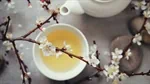 תמצית שמן למפיץ ריח - WHITE TEA